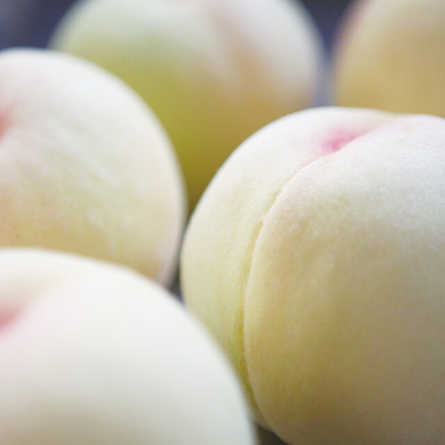 とろけるような食感の岡山県産桃のパフェがパーラー全店で登場