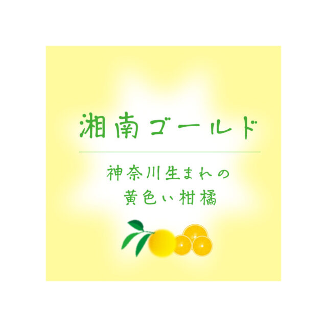 神奈川県が開発した<br>『幸せを呼ぶ、新感覚オレンジ』