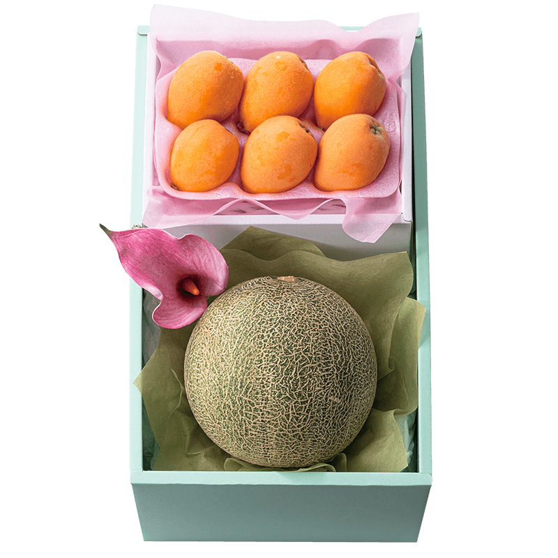 母の日 メロン＆枇杷セット