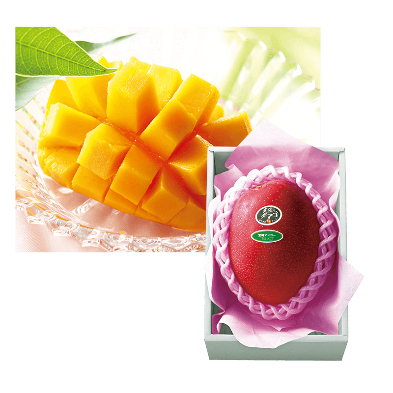 父の日 太陽のタマゴ