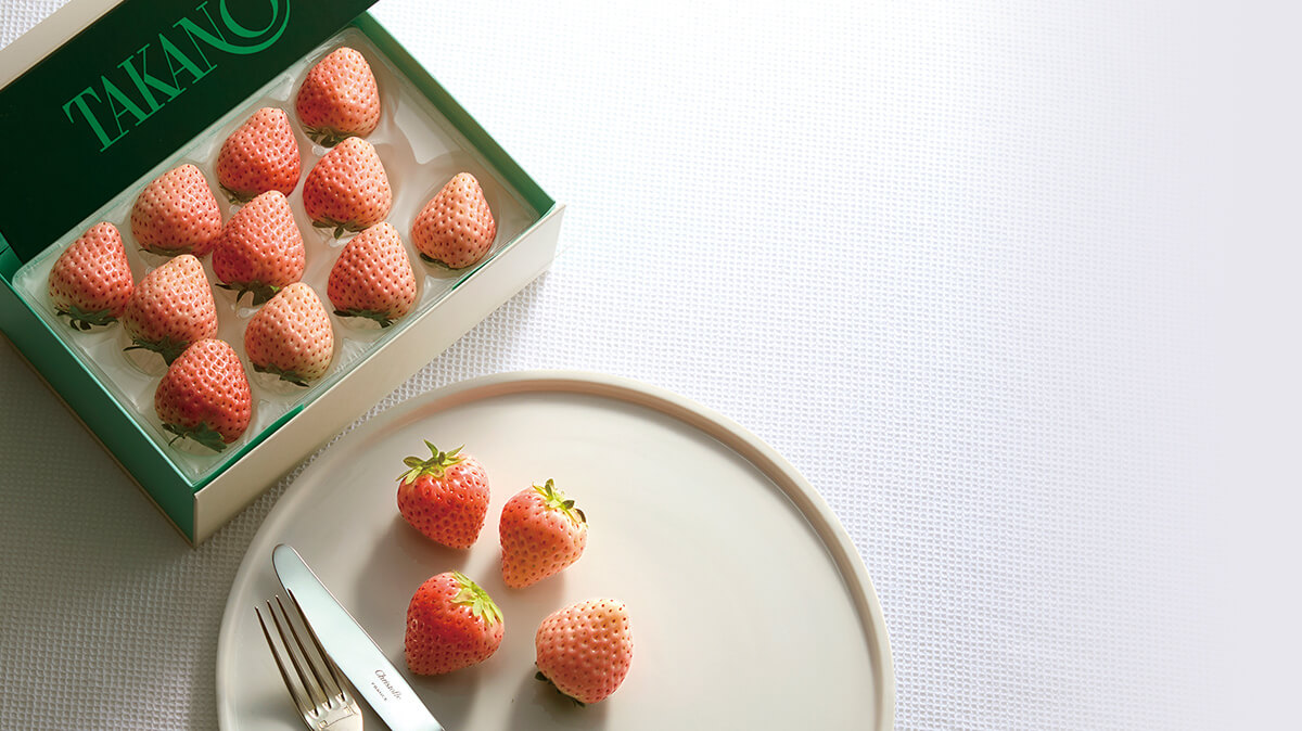 コットンベリー