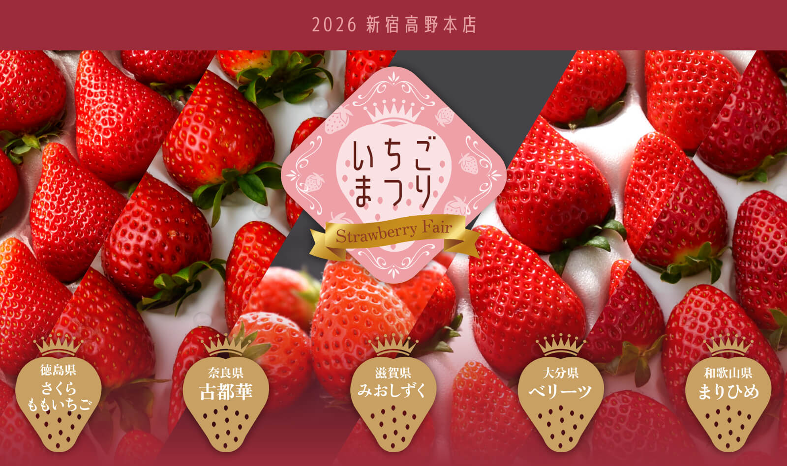 いちごまつり | フルーツギフトの果物専門店 新宿高野