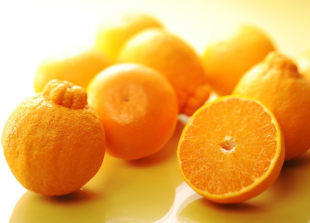 柑橘類 フルーツギフトの果物専門店 新宿高野