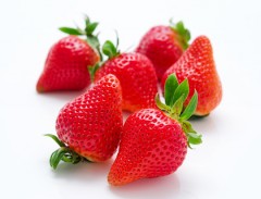 苺 フルーツギフトの果物専門店 新宿高野